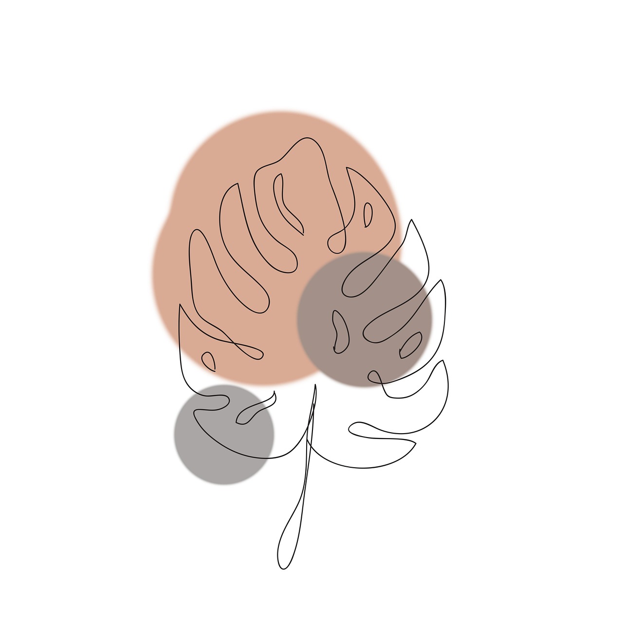 monstera, plants, tropical, drawing, nature, monstera plant, art, room plant, room, ornamental, sheet, leaves, lines, bohemian, boho