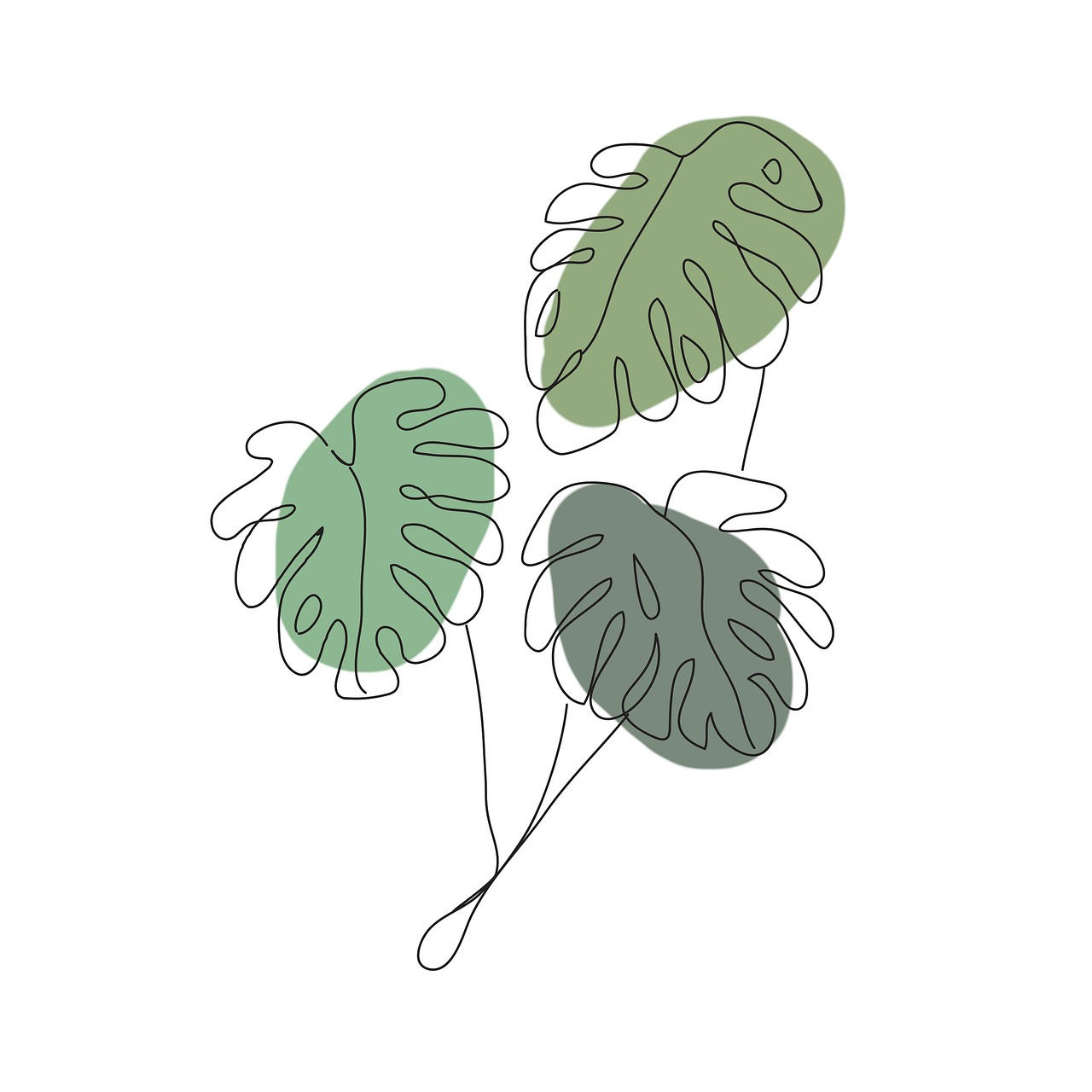 monstera, plants, tropical, drawing, monstera plant, art, room plant, room, ornamental, sheet, leaves, lines, bohemian, nature, boho