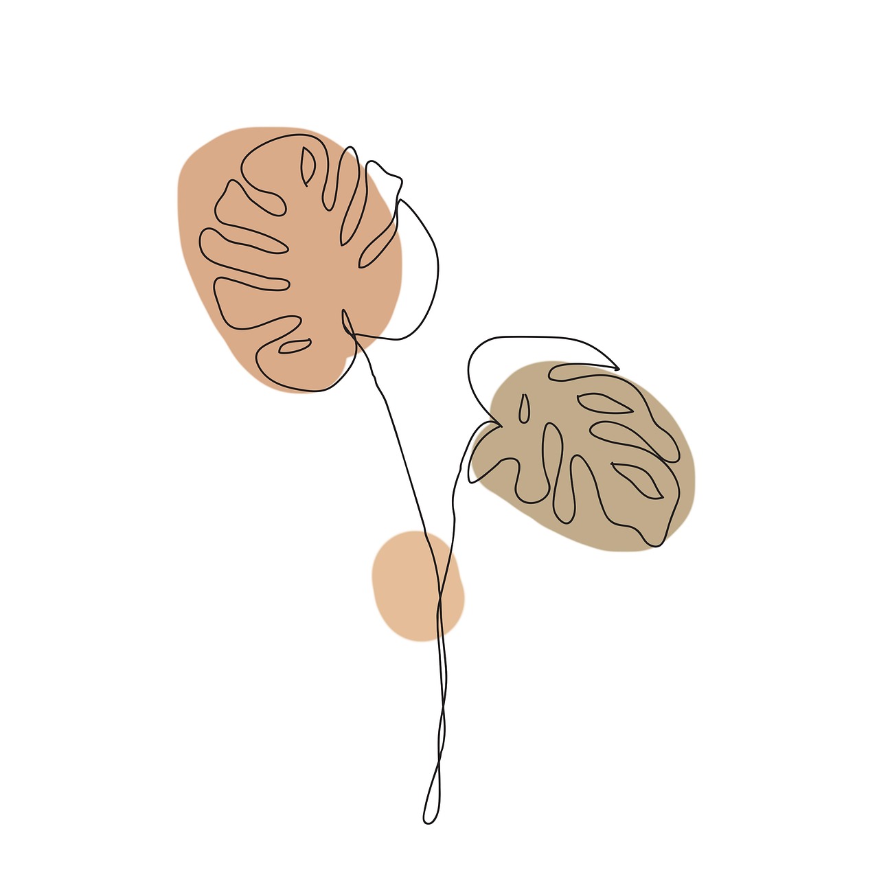 monstera, plants, tropical, drawing, monstera plant, art, room plant, room, ornamental, sheet, leaves, nature, lines, bohemian, boho